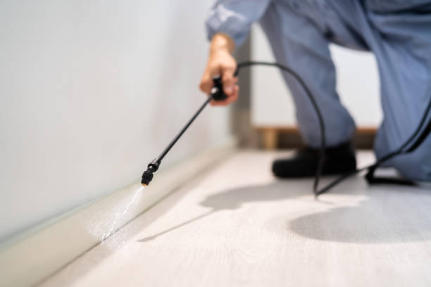 Licensed Fumigation Services service in Oak Bluffs, MA - Nex Pest Control