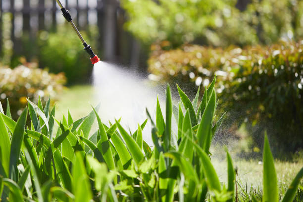 24/7 Emergency Fumigation Services experts in Oak Bluffs, MA
