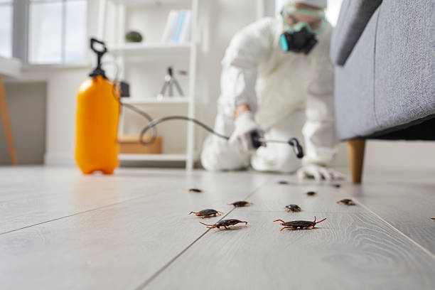 Trusted Fumigation Services service in Oak Bluffs, MA - Nex Pest Control